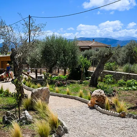 Ninemia Homes 2 * Lefkada City
