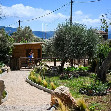 Ninemia Homes 2 By Imagine *